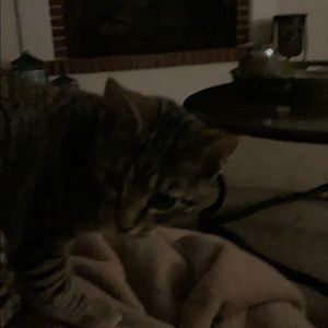 Meet your Posher, Jacqueline